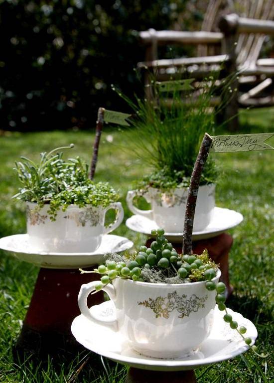 A Tea Herb Garden Gardening Viral