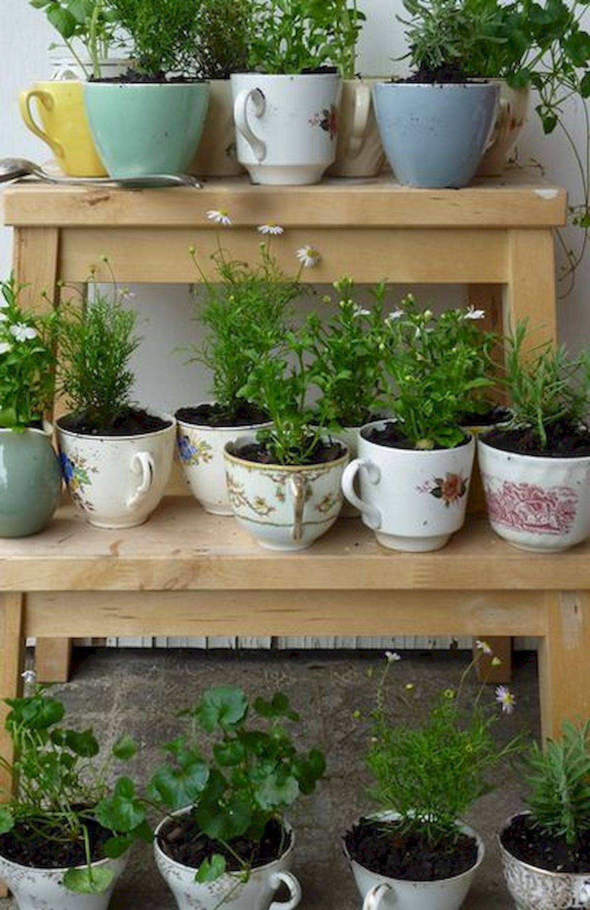 Cute Diy Teacup Garden Ideas