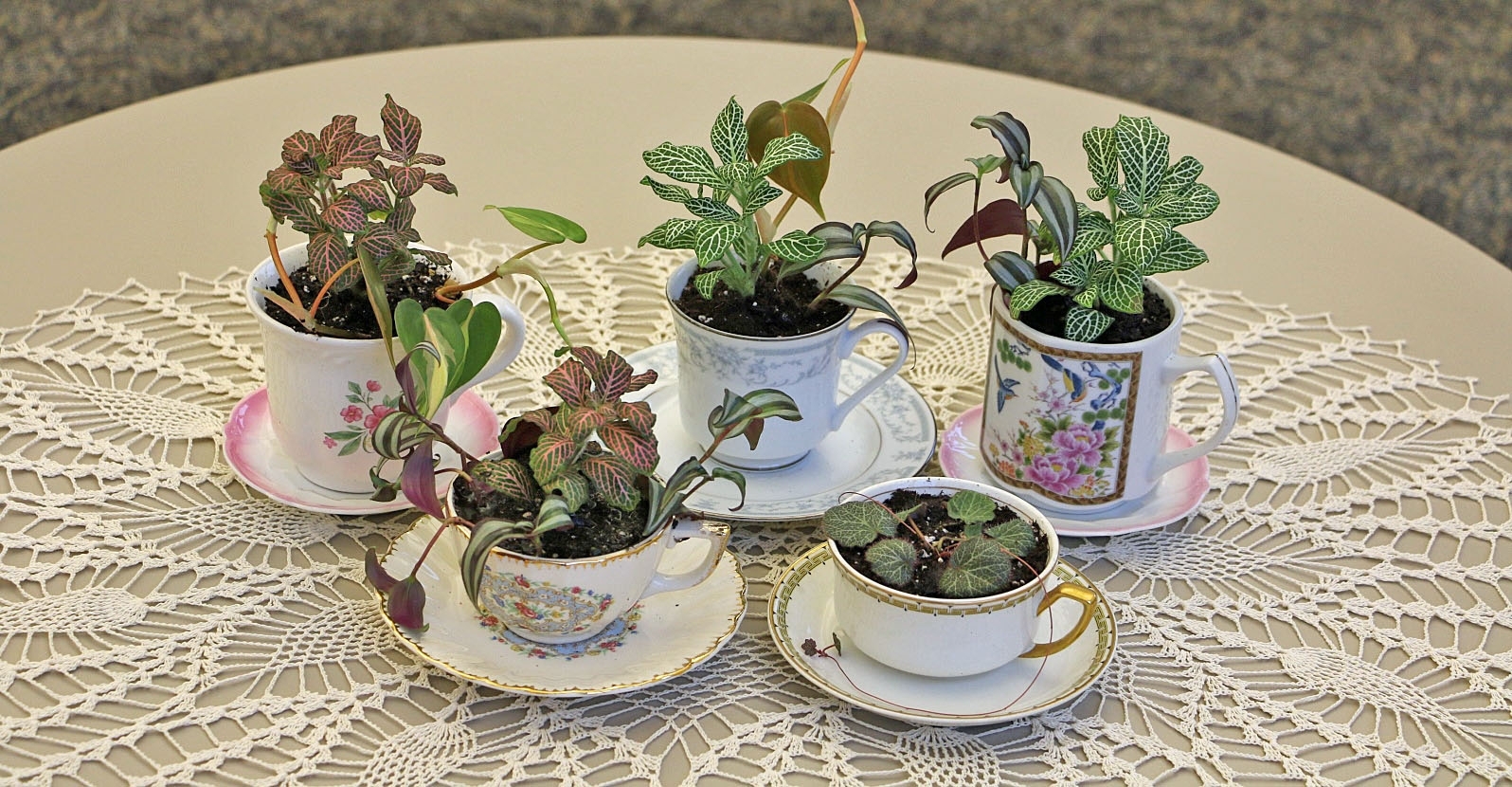 A Culinary Herb Garden