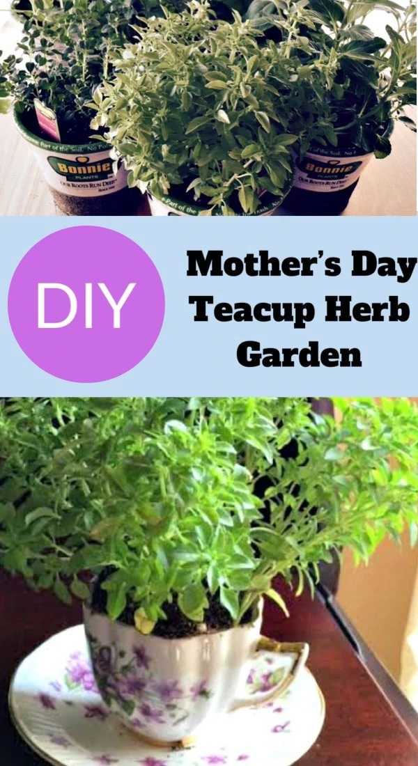 My Fairy Herb Garden Cute Garden Ideas