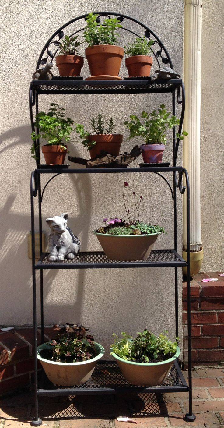Inspiration Balcony Garden Web