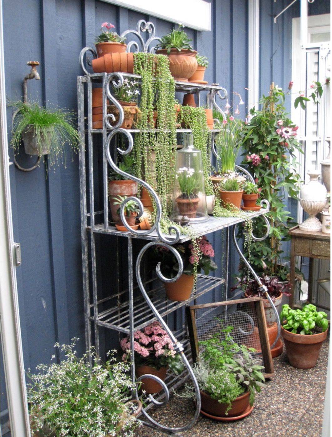 Outdoor Bakers