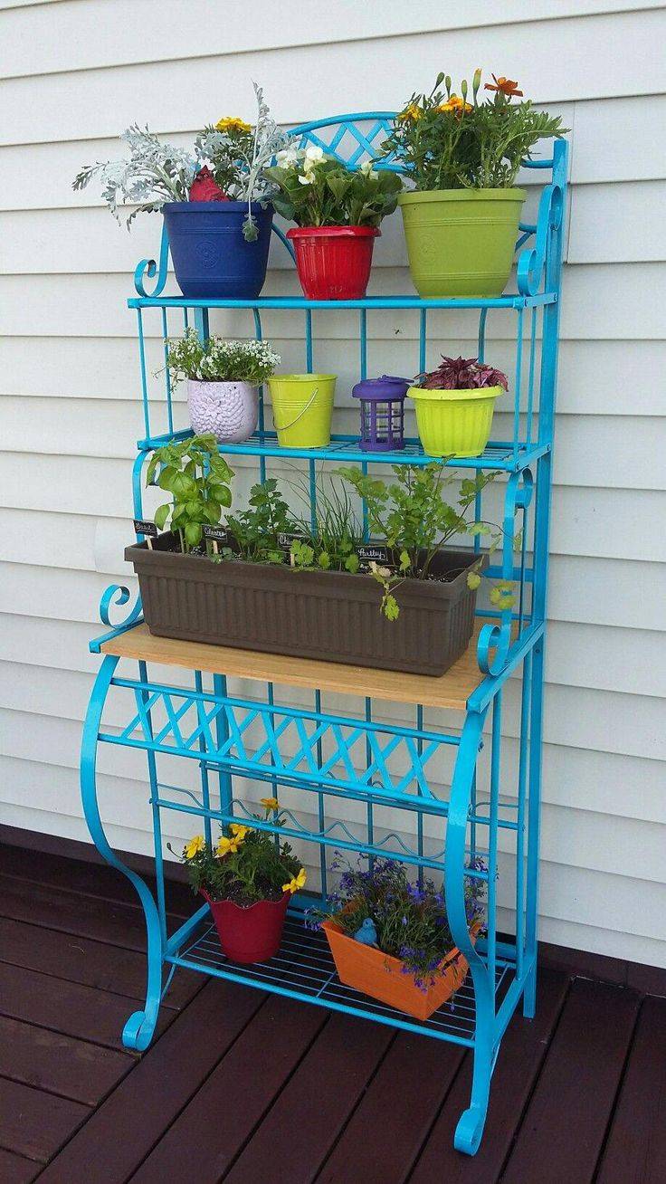 Most Creative Diy Plant