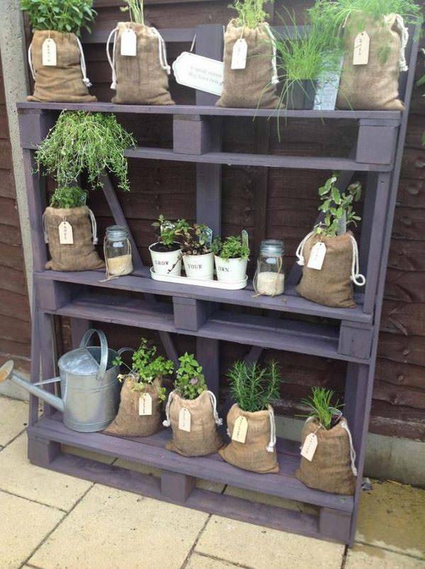 This Adorable Herb Garden
