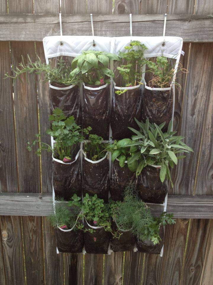 This Adorable Herb Garden