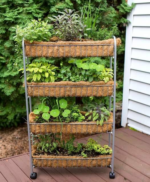 22 Herb Garden Rack Ideas Worth to Check | SharonSable