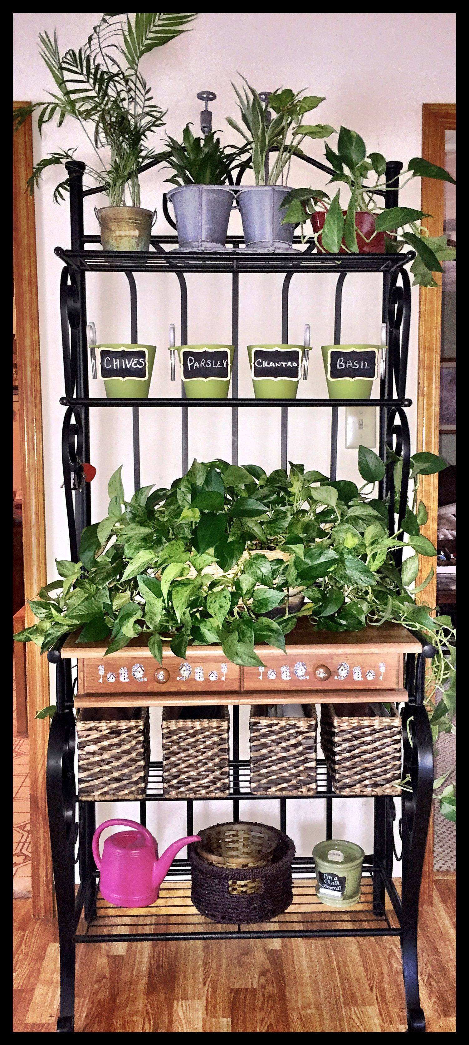 Pallet Wall Herb Garden Pallets