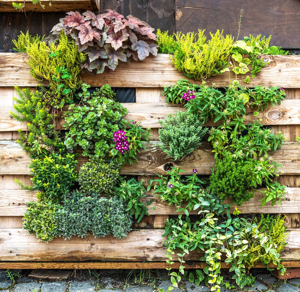 Creative Diy Vertical Garden Design Ideas Domakeovercom