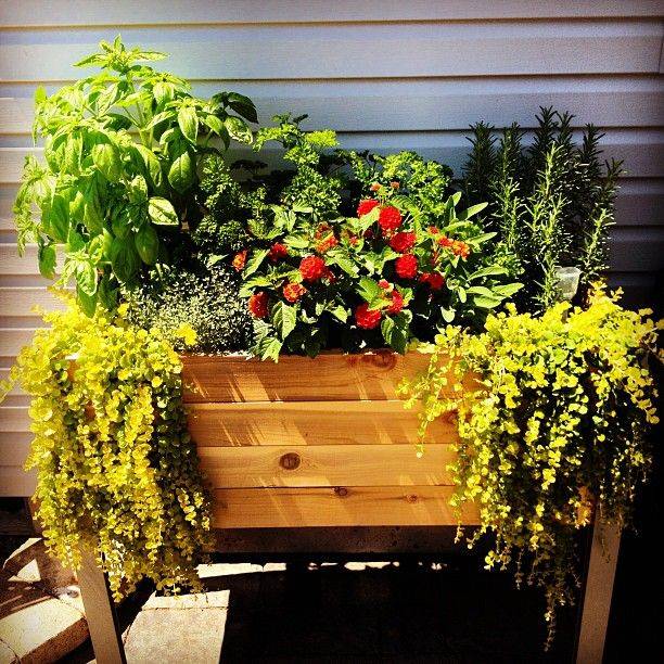 Creative Outdoor Projects