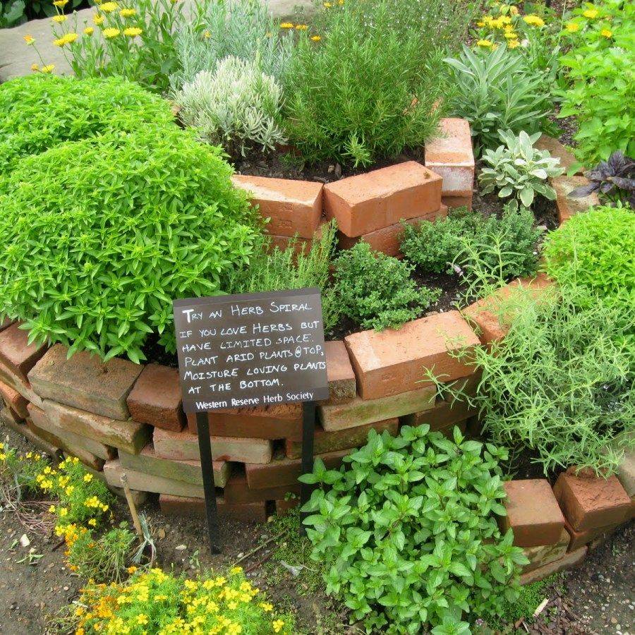 Perennial Herb Garden Ideas