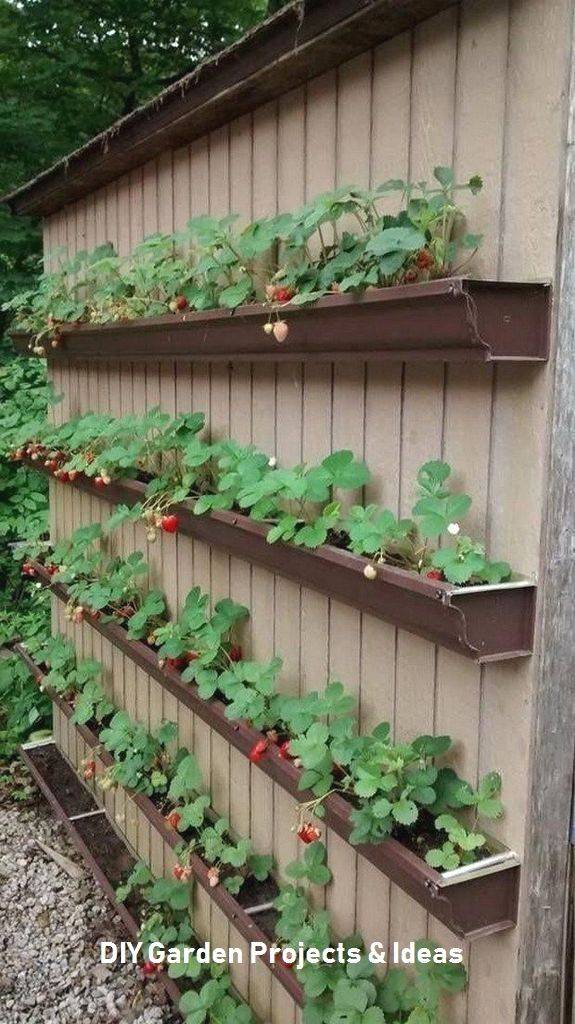 Awesome Upcycled Herb Garden Ideas