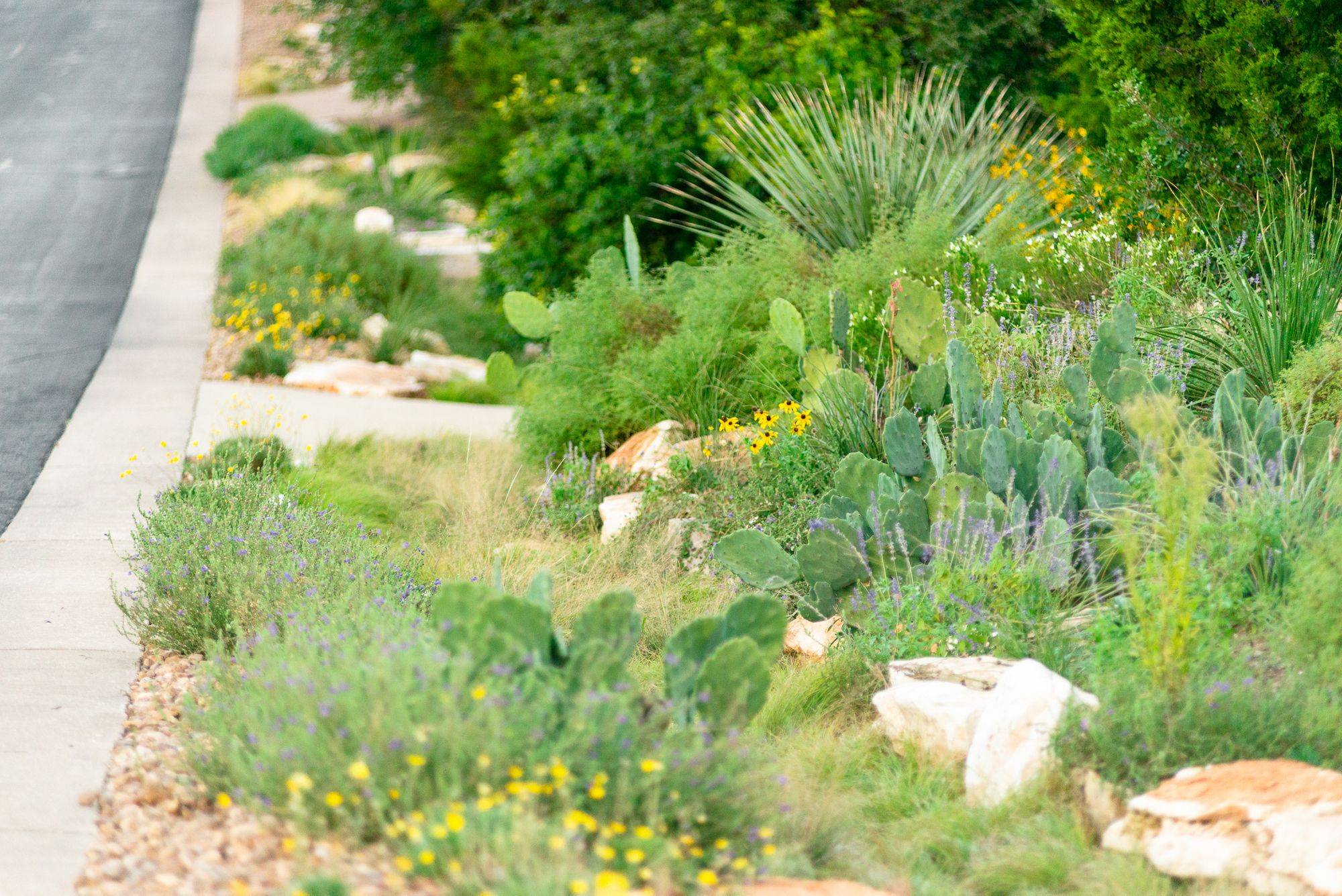 Awesome Upcycled Herb Garden Ideas