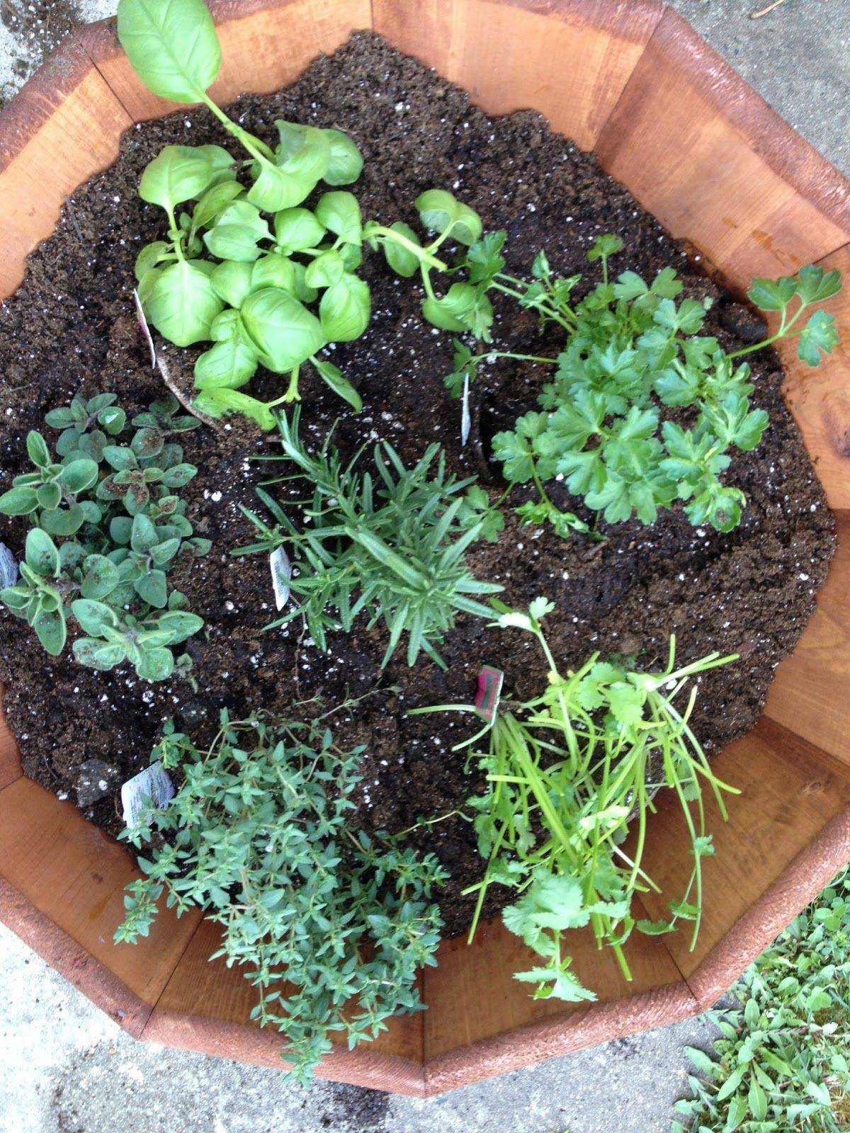 Vegetable Gardens