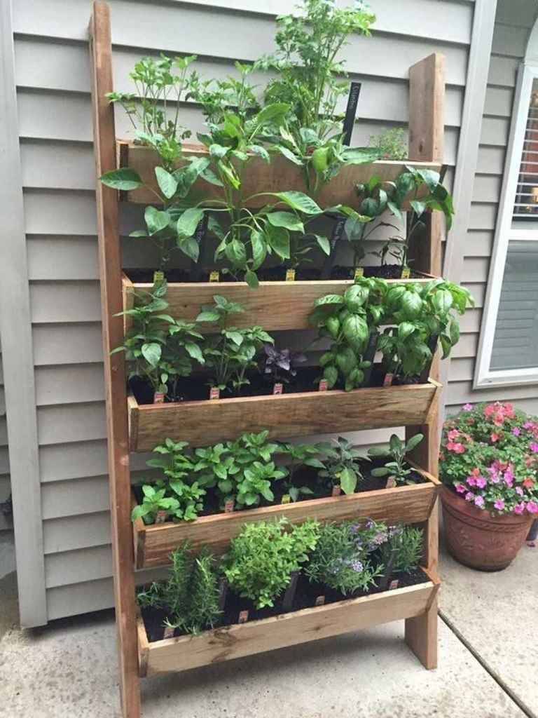 Creative Outdoor Herb Gardens