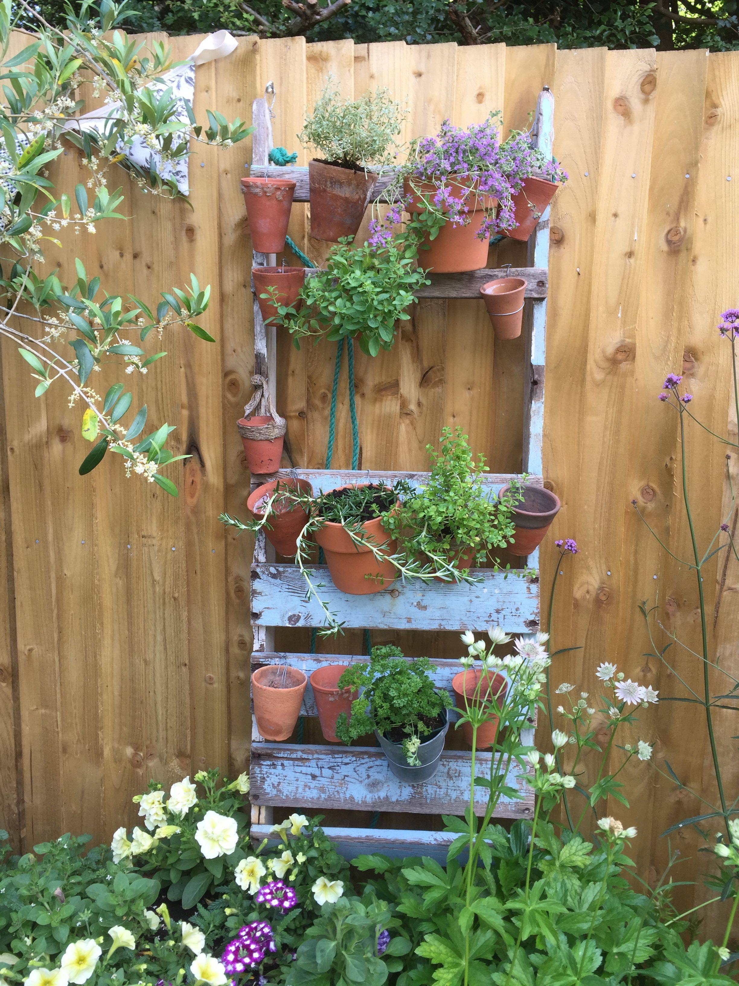 Herb Garden Design