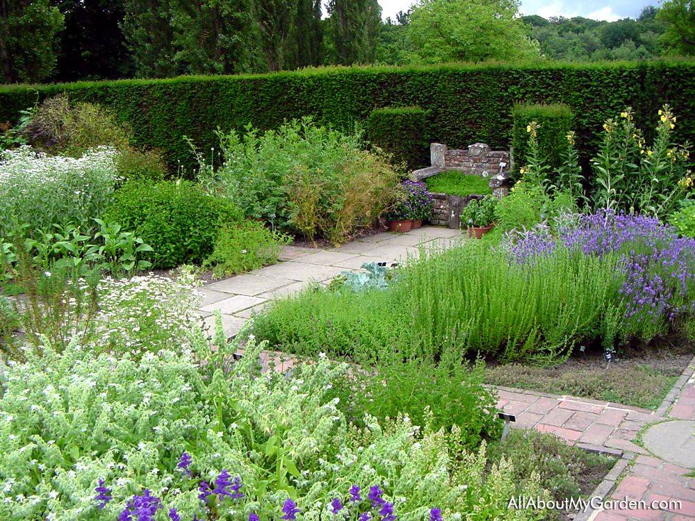 Creative Home Herb Garden Ideas