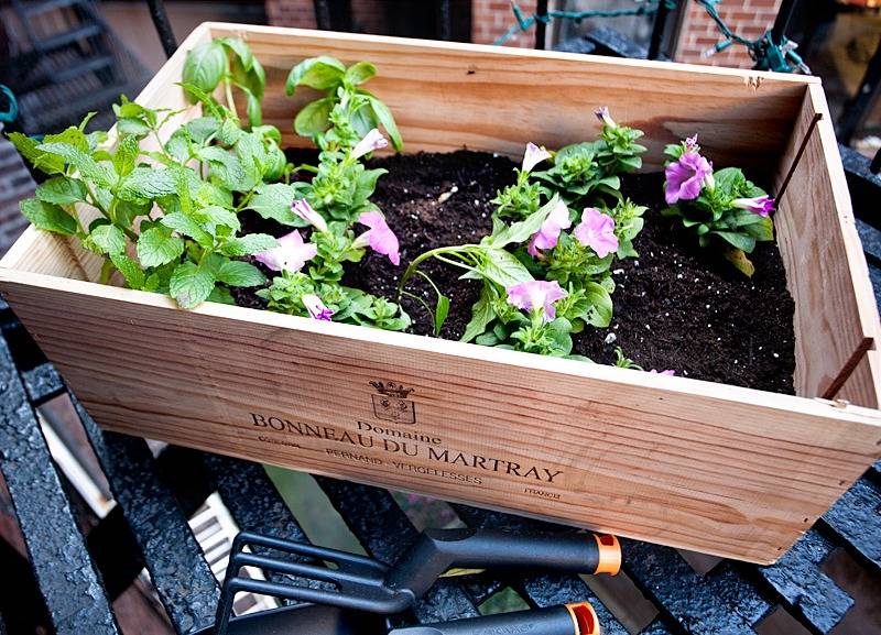 Decorating Small Backyard Gardens