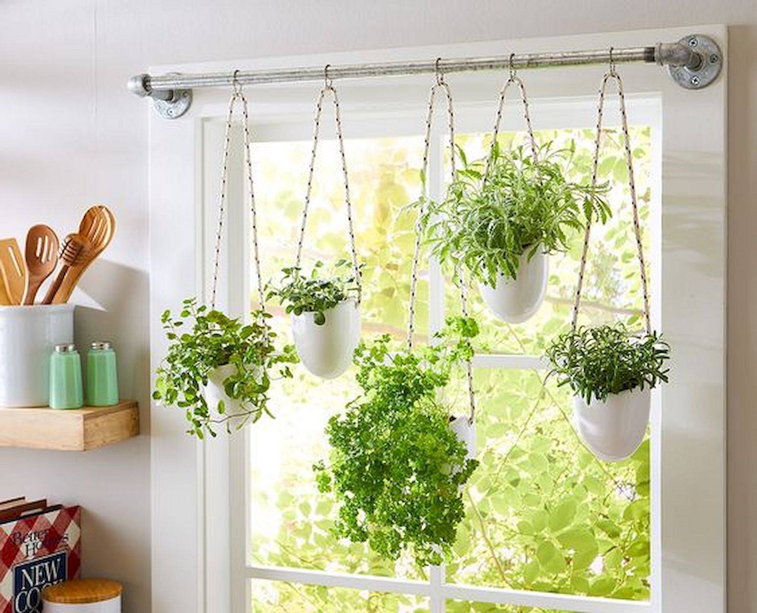 Wall Herb Garden