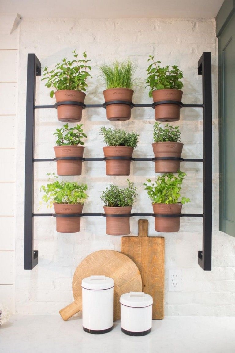 Stunning Indoor Wall Herb Garden Ideas