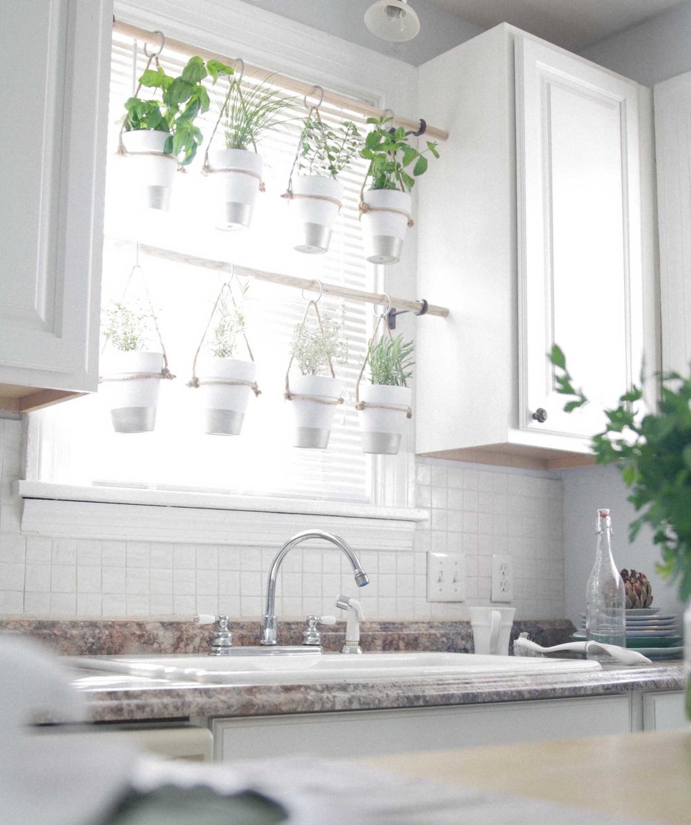 Stunning Indoor Wall Herb Garden Ideas