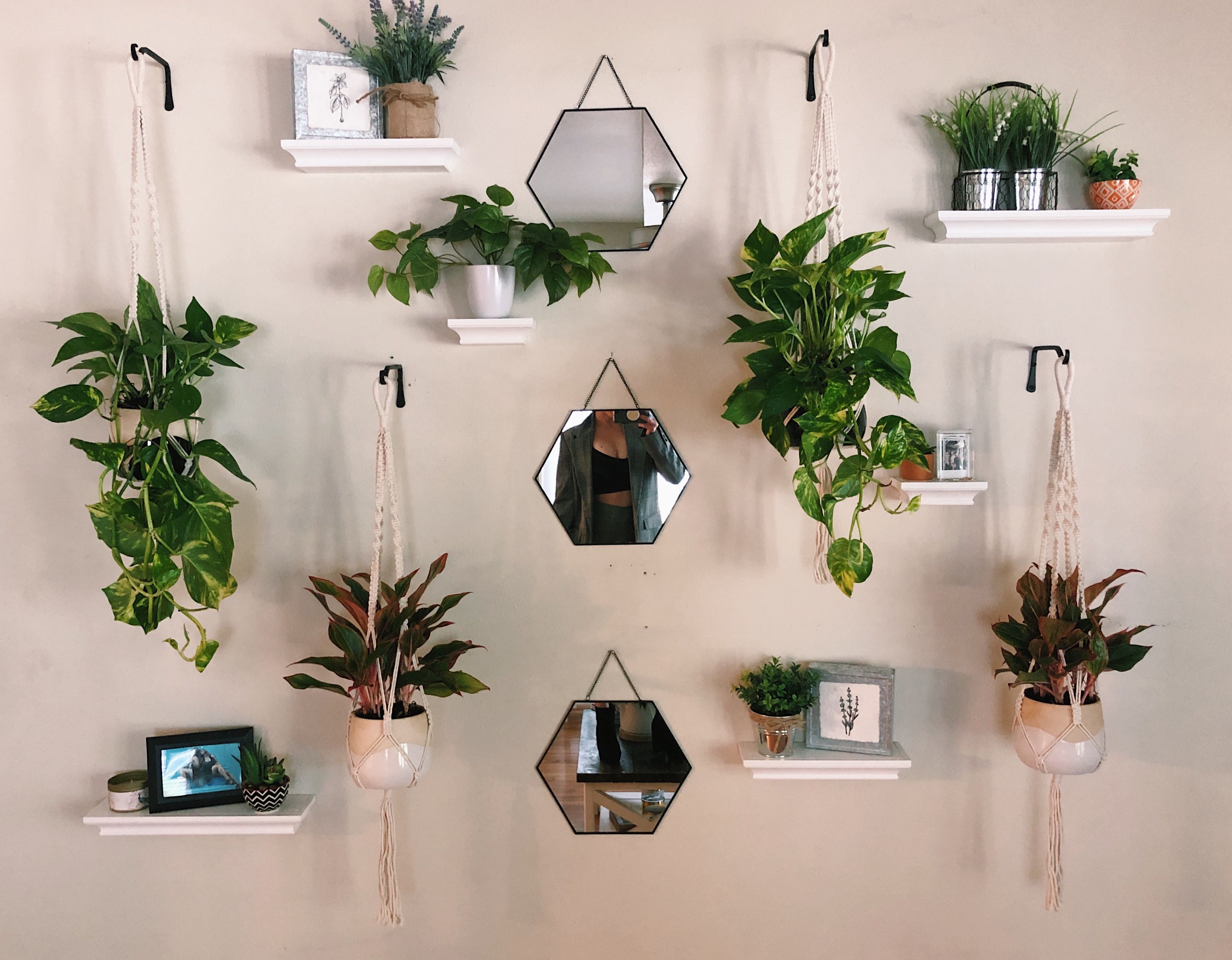 A Hanging Indoor Herb Garden