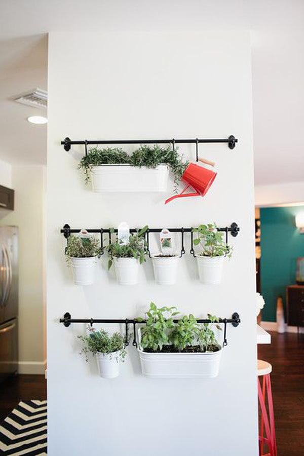 Small Space Vertical Garden