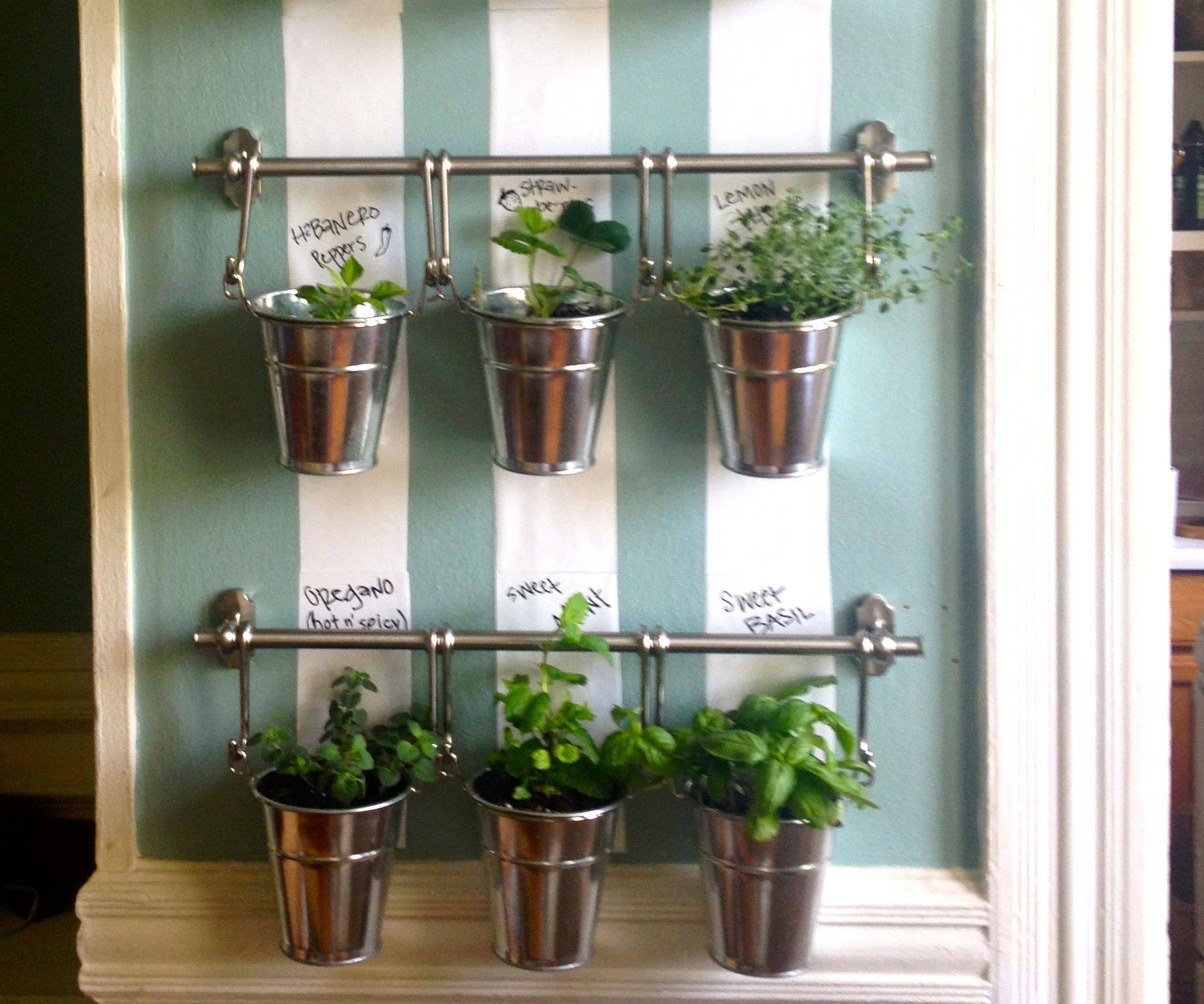Smart Indoor Hanging Herb Garden Ideas
