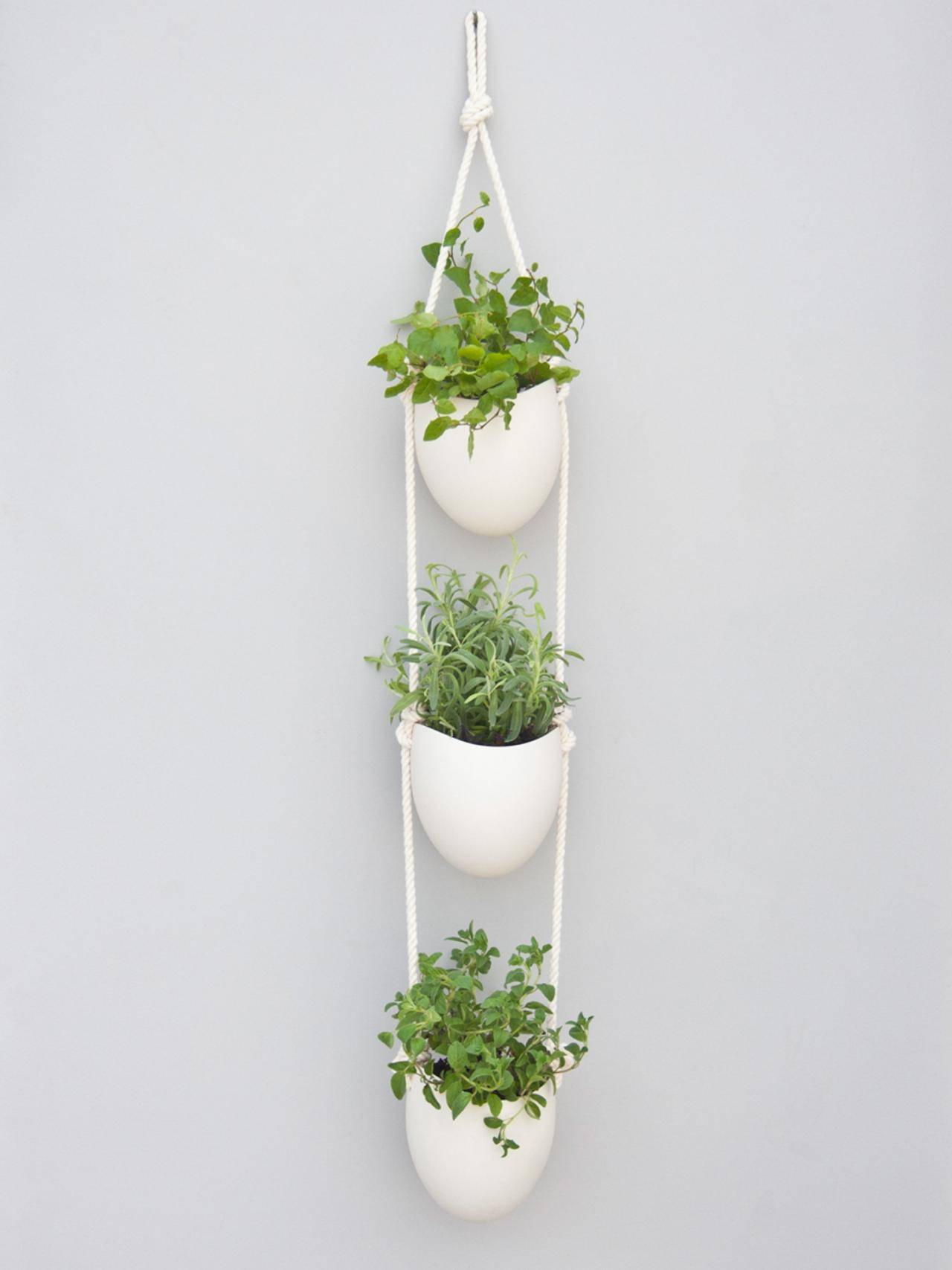 Smart Indoor Hanging Herb Garden Ideas