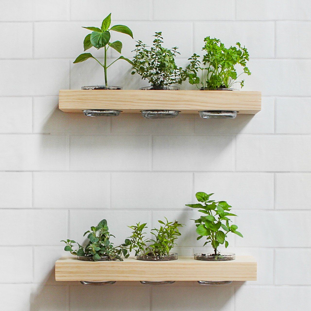 Herb Garden Indoor Ideas