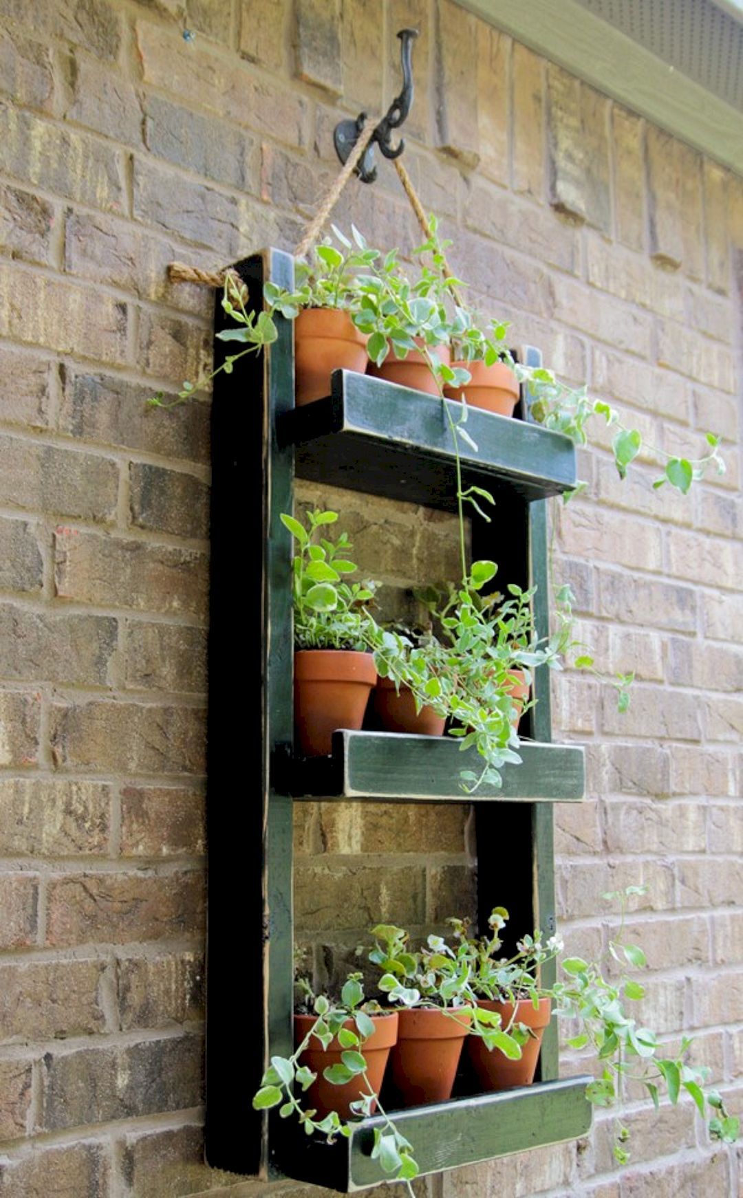 Beautiful Brilliant Diy Indoor Herb