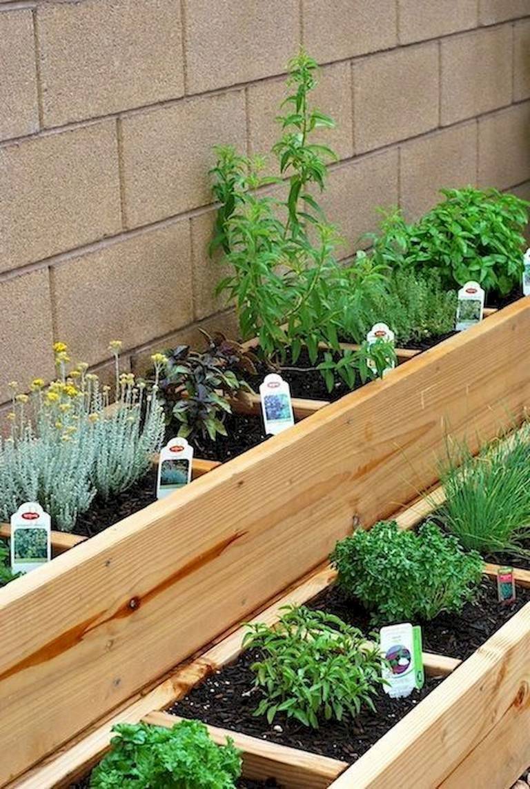 Container Gardening Ideas Potted Plant Ideas We Love