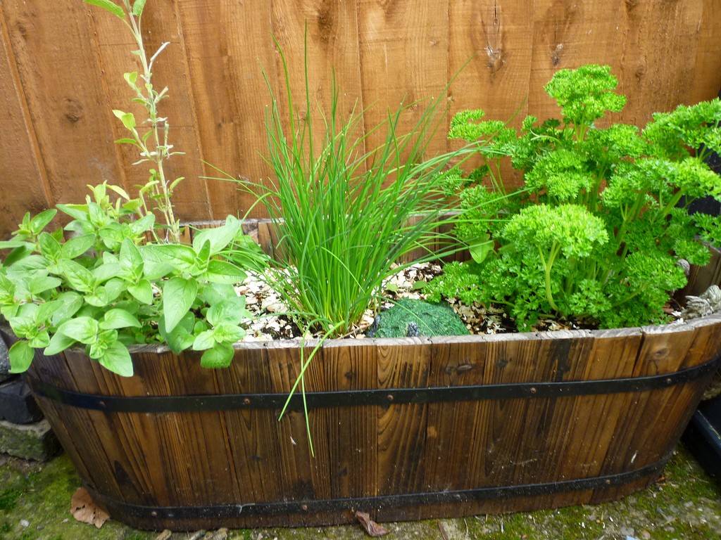 Container Herb Gardens