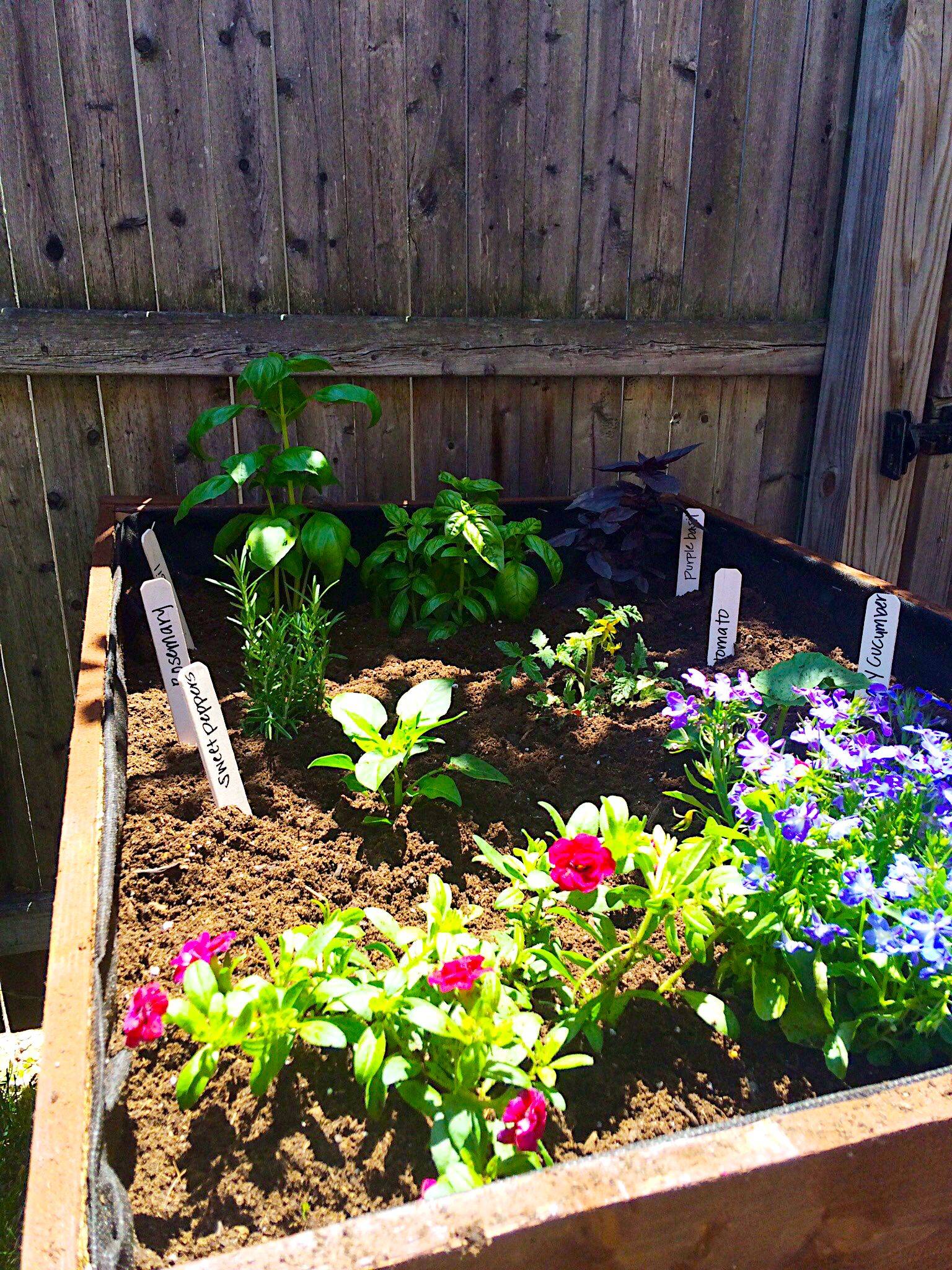 Amazing Ideas Small Herb Garden Ideas You Will Love Decorecent