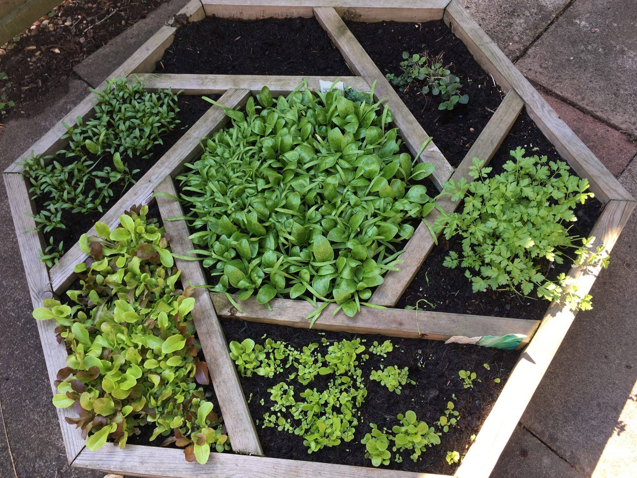 Vertical Herb Garden Vertical Herb Garden