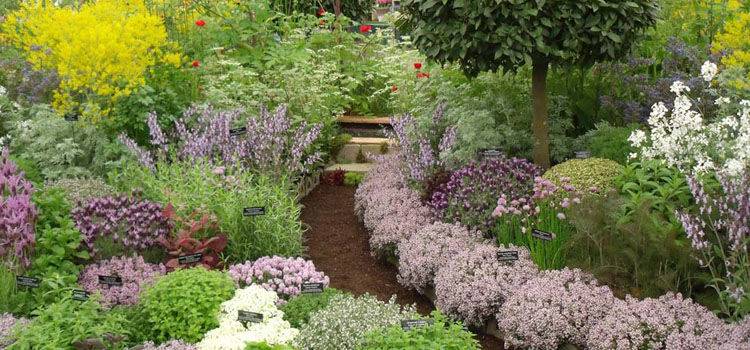 Stunning Container Vegetable Garden Design Ideas