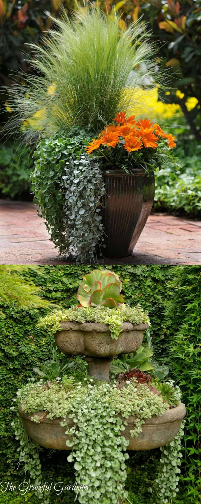 Exquisite Easy Container Gardening Ideas