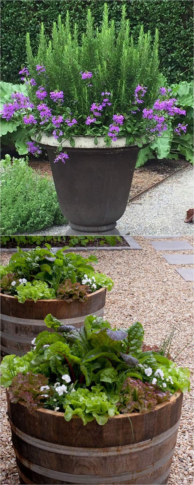 Perennial Plant Combinations