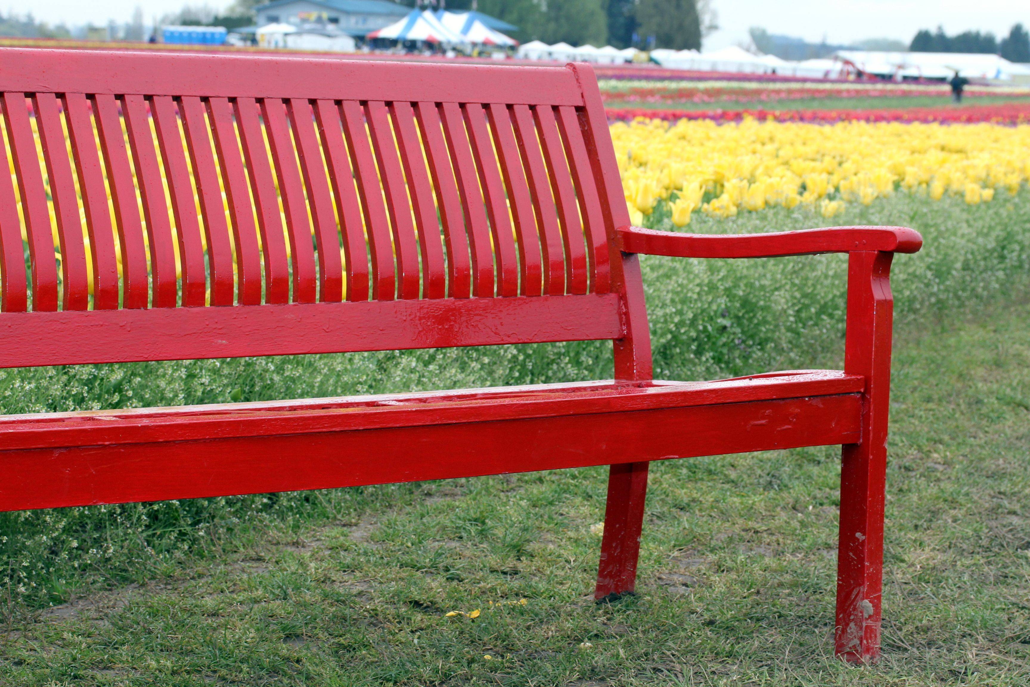 23 Red Garden Bench Ideas To Try This Year | SharonSable