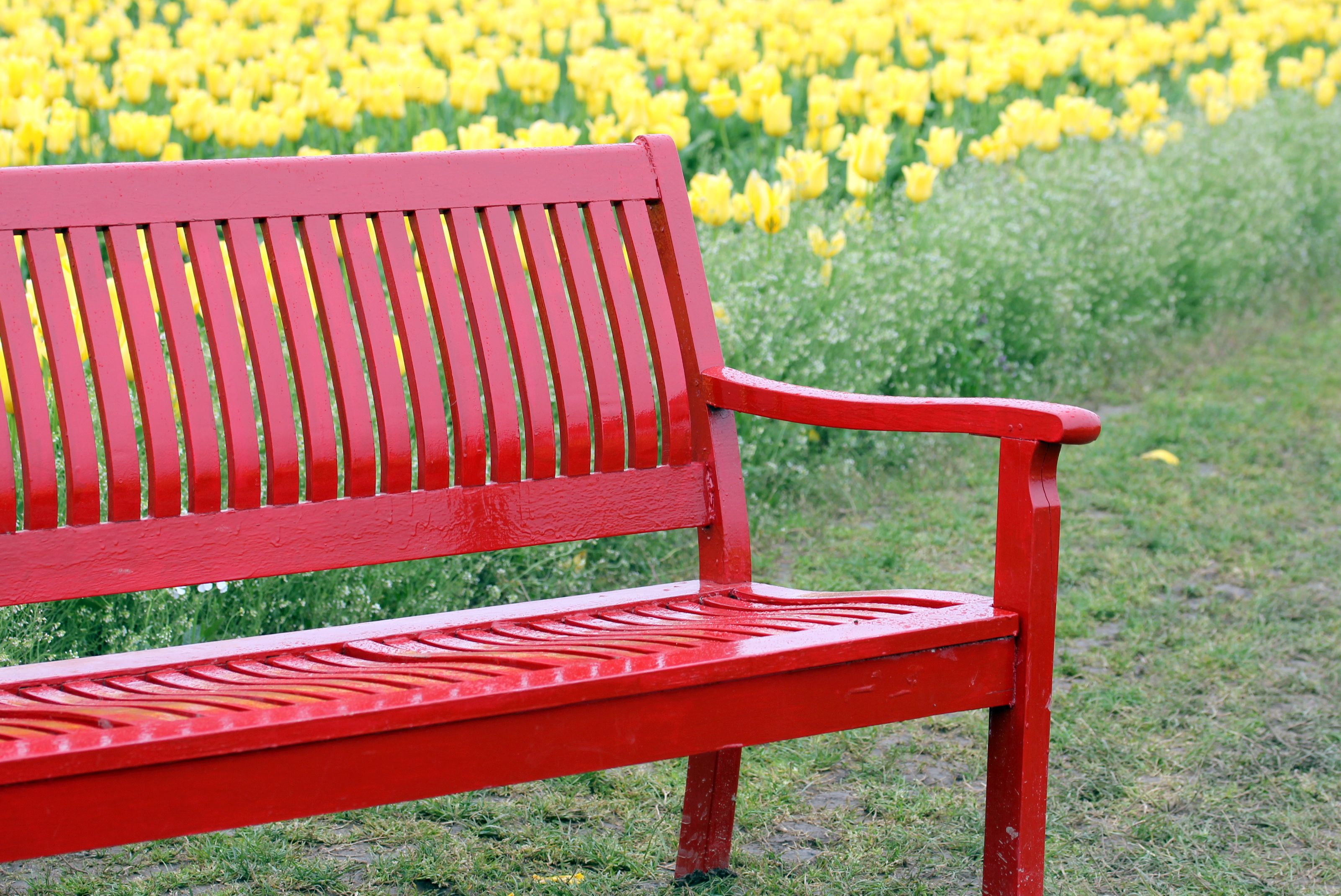 23 Red Garden Bench Ideas To Try This Year SharonSable