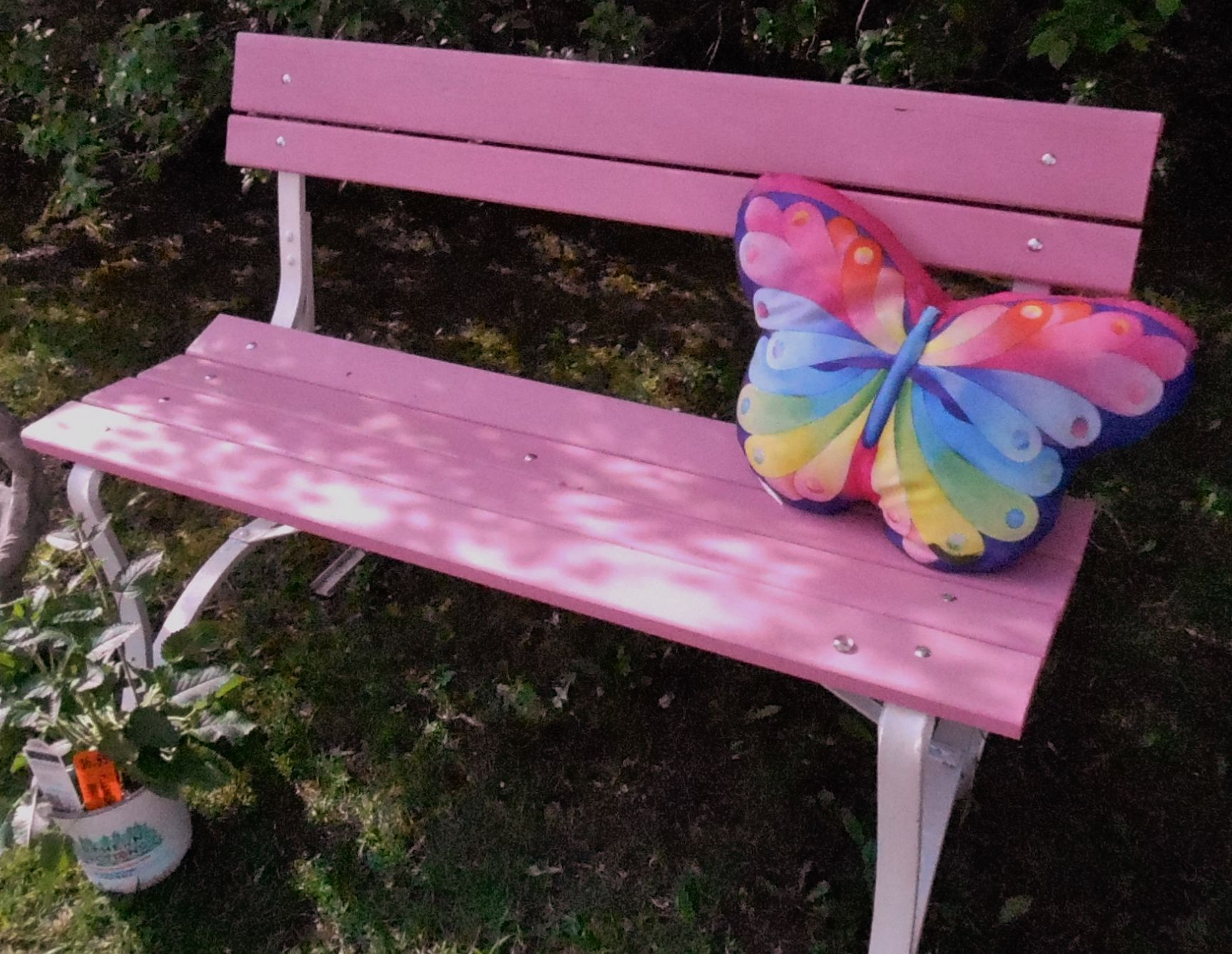 An Old Park Bench