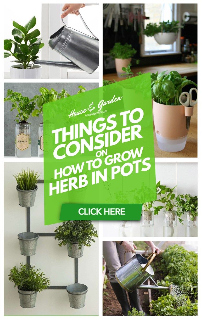 Brilliant And Creative Diy Herb Gardens