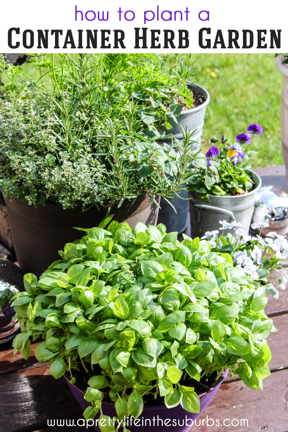 Creative Herb Garden Ideas