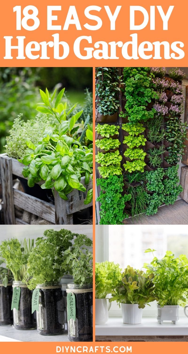 Herbs Grow Easily In Containers Making Them A Wonderful Addition To