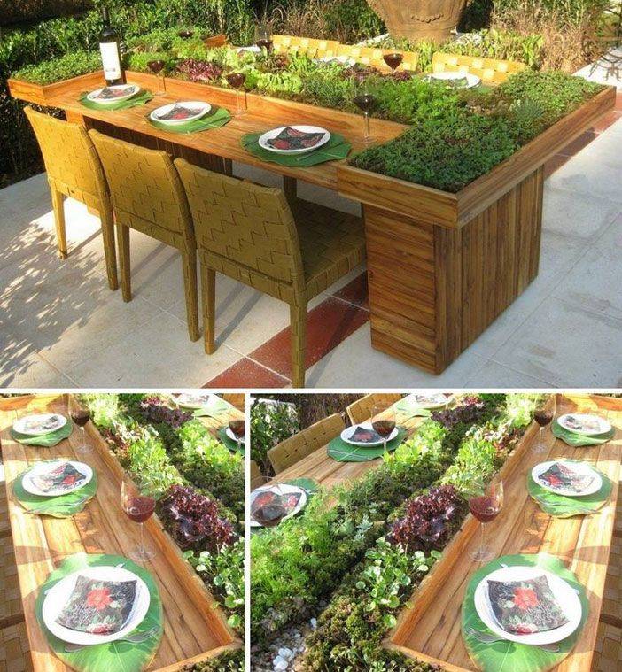 Minute Countertop Herb Garden Houseful