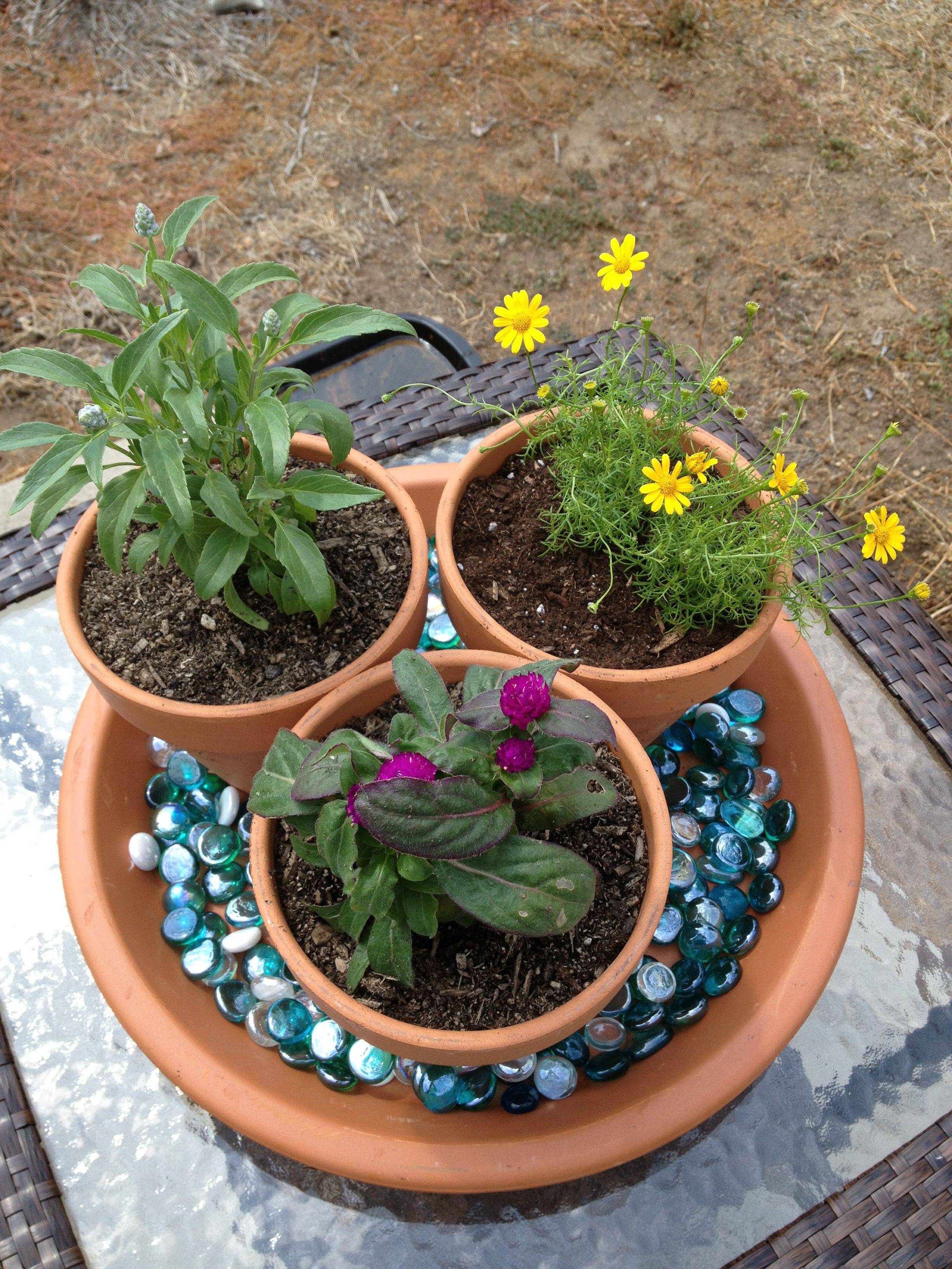 22 Tabletop Herb Garden Ideas Worth to Check SharonSable