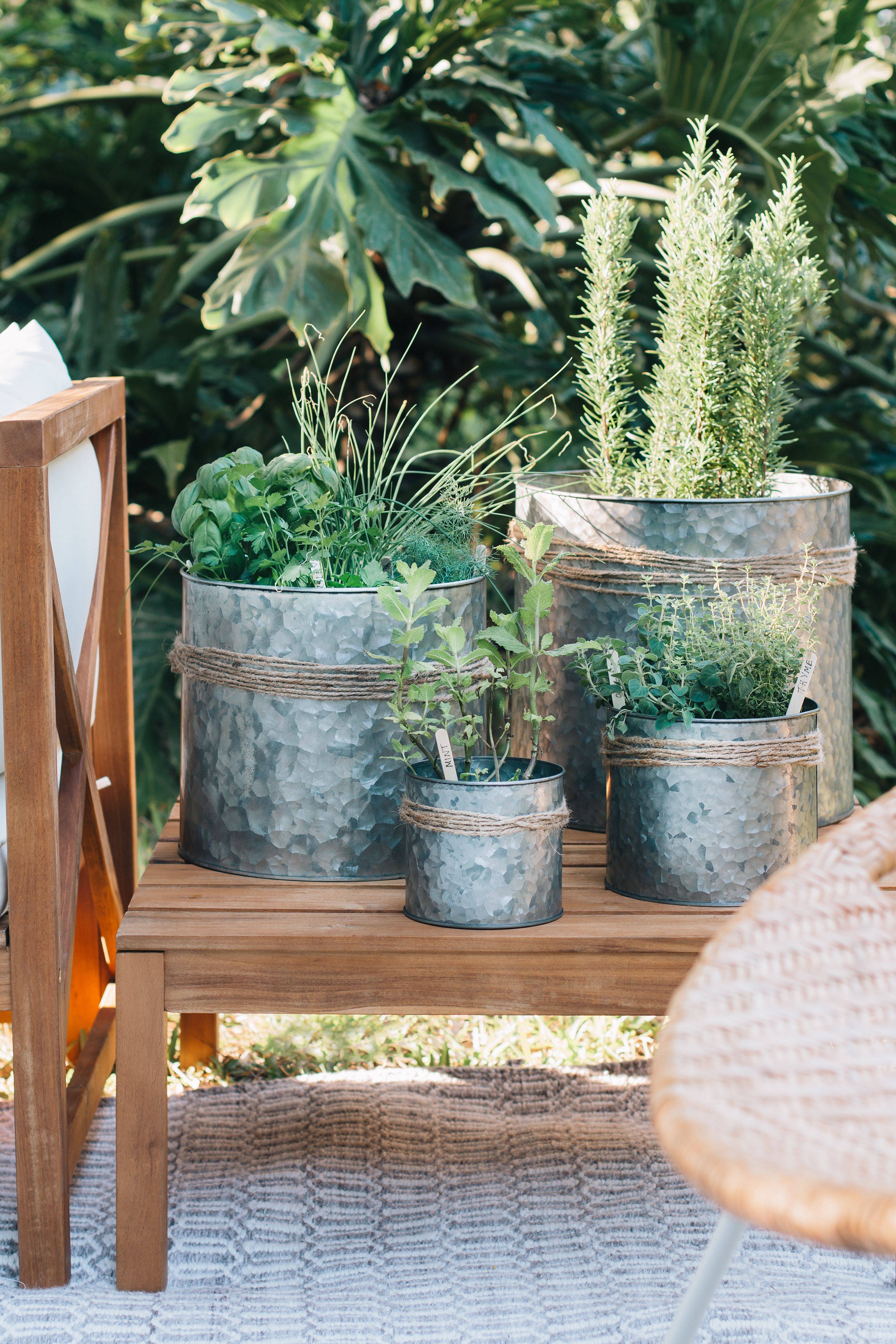 Creative Diy Herb Garden Ideas