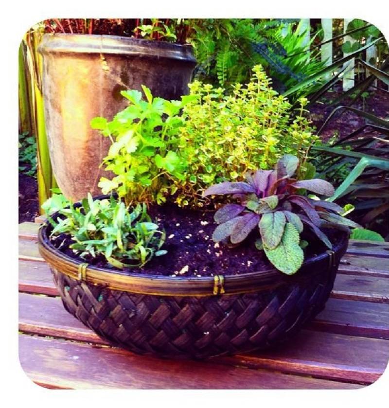 Creative Herb Garden Ideas