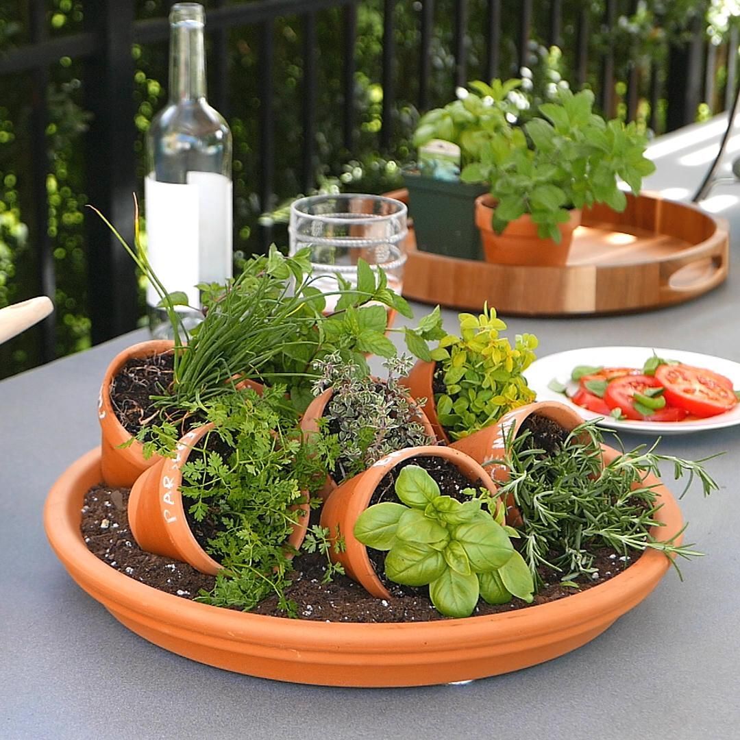 Diy Tabletop Herb Garden Backyard Vegetable Gardens