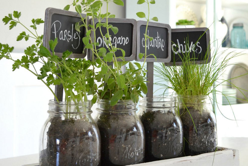 Tabletop Herb Garden Kit Home And Garden Designs