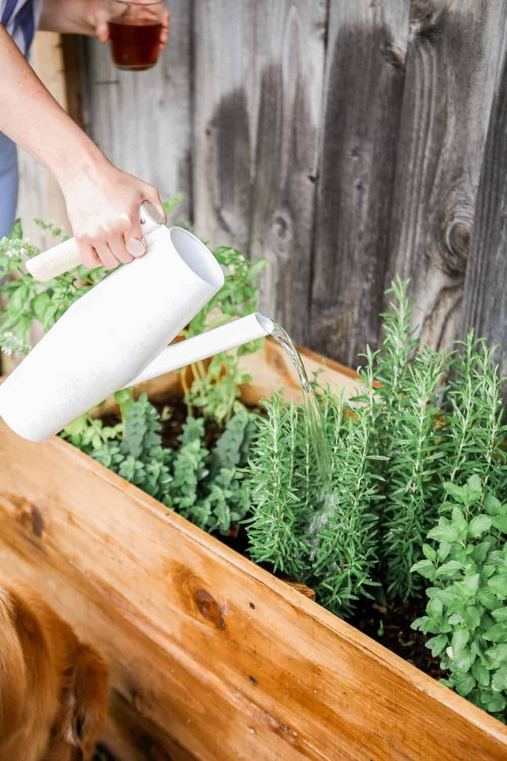 Diy Tiered Herb Garden Planter